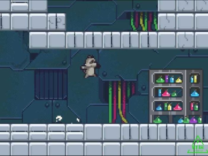 浣熊裂谷for Switch